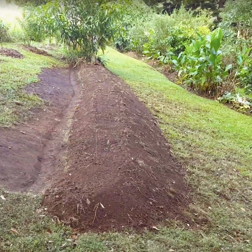 Food forest swale