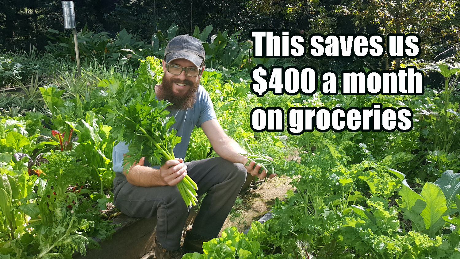 How to save money on groceries