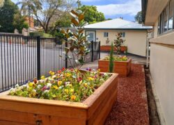bedurveg-gallery-01