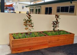 bedurveg-gallery-03