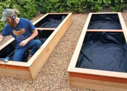 bedurveg_gallery_24_a