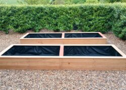 bedurveg_gallery_24_b