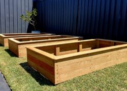 bedurveg_gallery_24_c